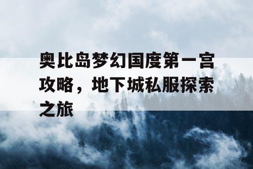 奥比岛梦幻国度第一宫攻略，地下城私服探索之旅