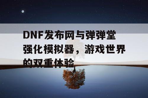 DNF发布网与弹弹堂强化模拟器，游戏世界的双重体验