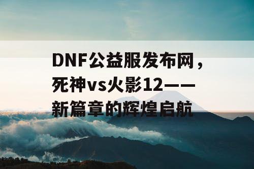 DNF公益服发布网，死神vs火影12——新篇章的辉煌启航