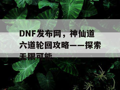 DNF发布网，神仙道六道轮回攻略——探索无限可能