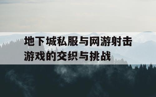 地下城私服与网游射击游戏的交织与挑战