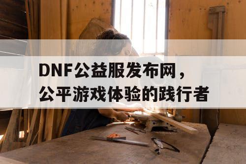 DNF公益服发布网，公平游戏体验的践行者